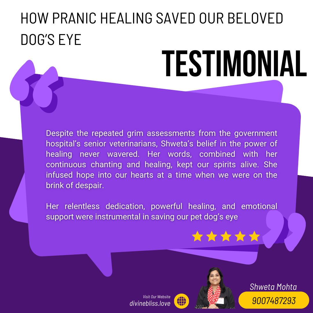 How Pranic Healing Saved Our Beloved Dog’s Eye