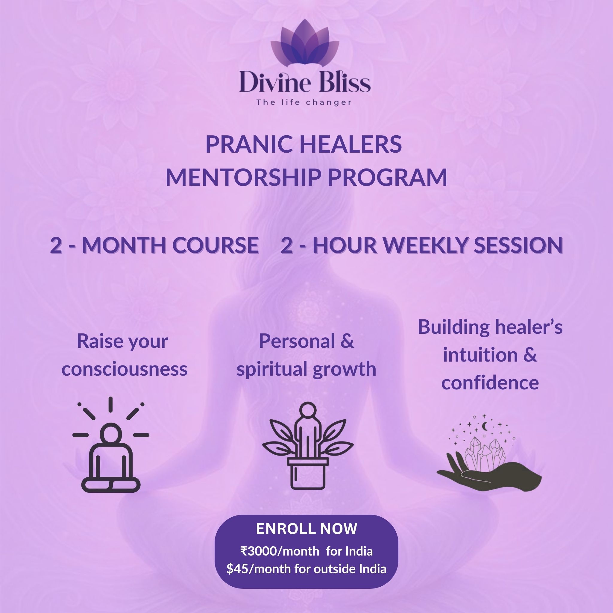PRANIC HEALERS MENTORSHIP PROGRAM